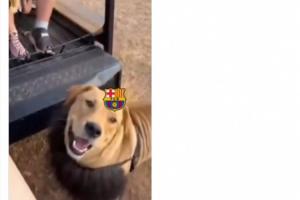 299278